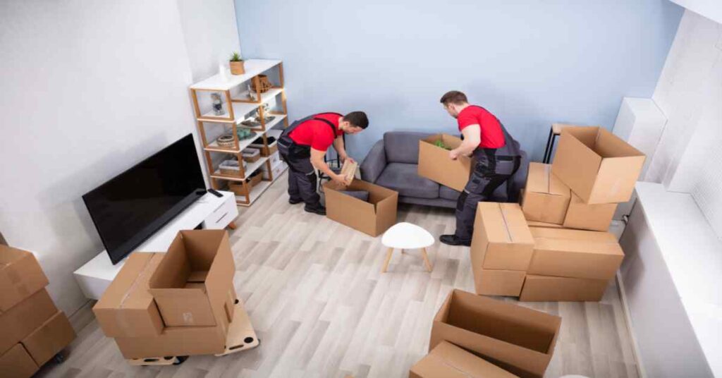 Safe Ship Moving Services